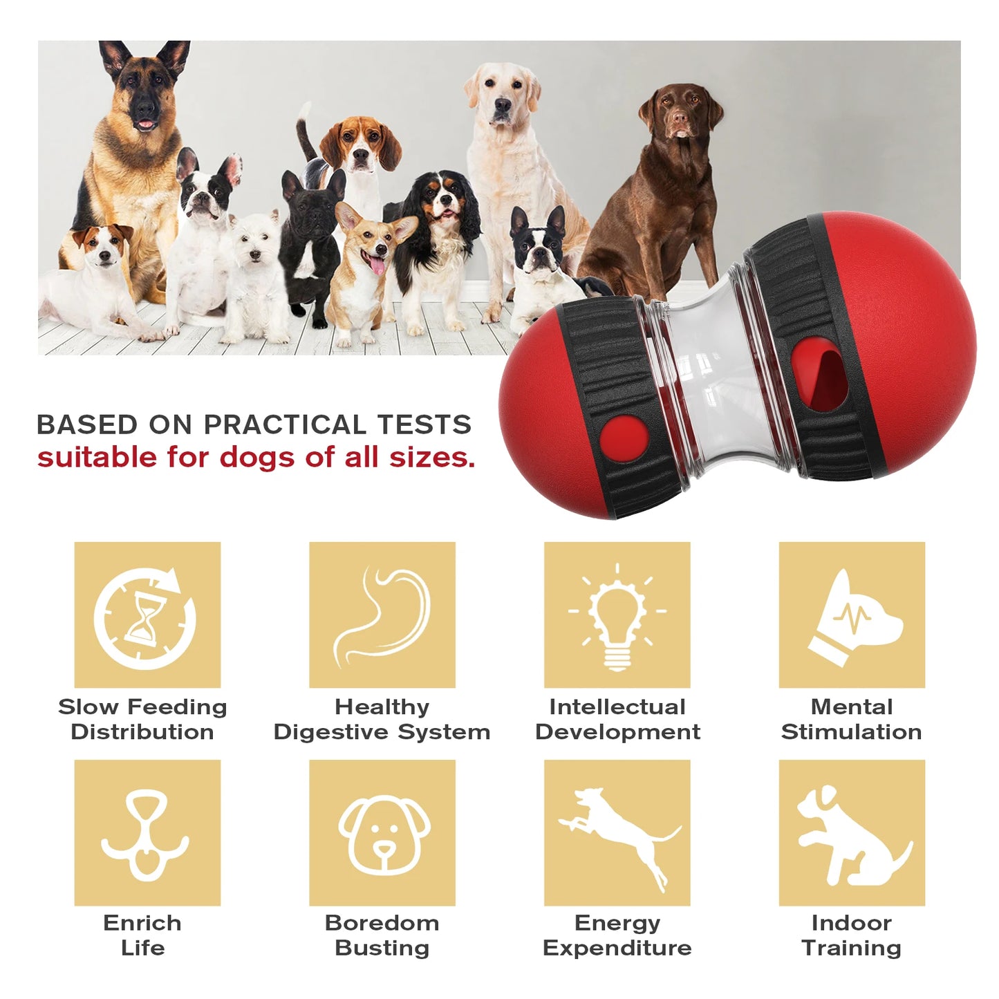 Pawzlle Play Feeder